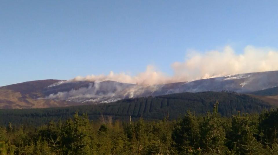 Mount Leinster fires (File Photo)