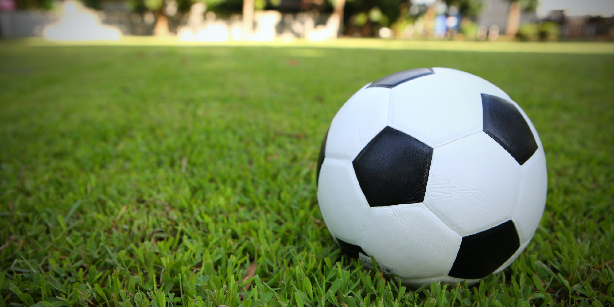 Hanover Harps win Douglas Jewellers Carlow Cup
