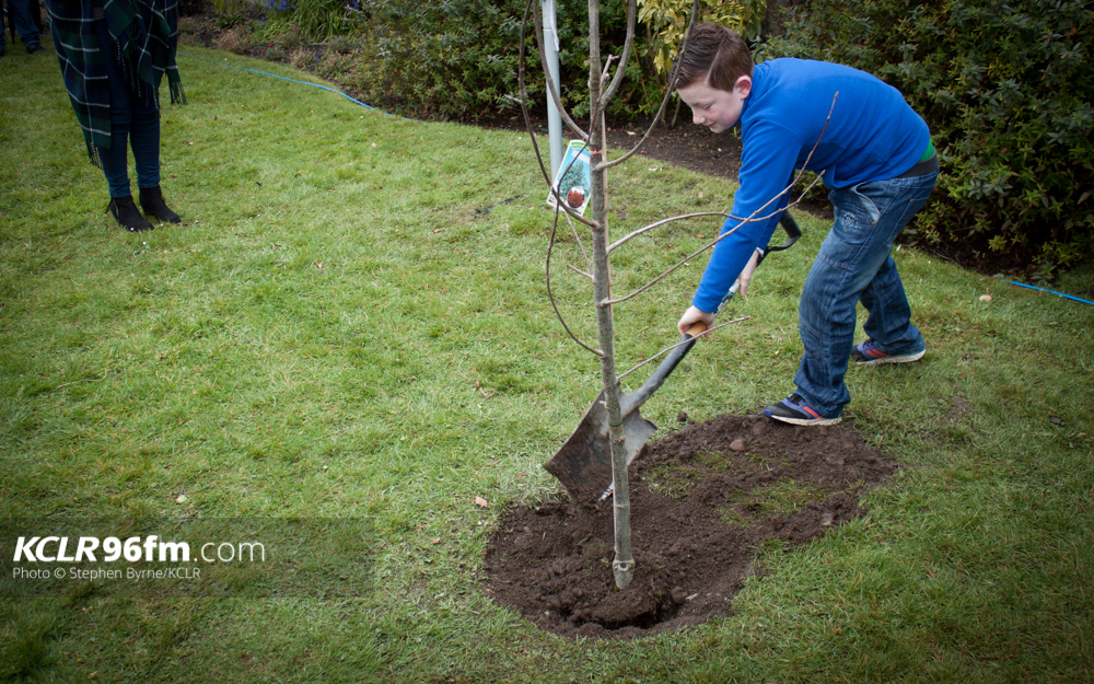 A tree is planted by Jake Doyle, a great grand nephew of Nurse Margaret Keogh. Pic Stephen Byrne/KCLR