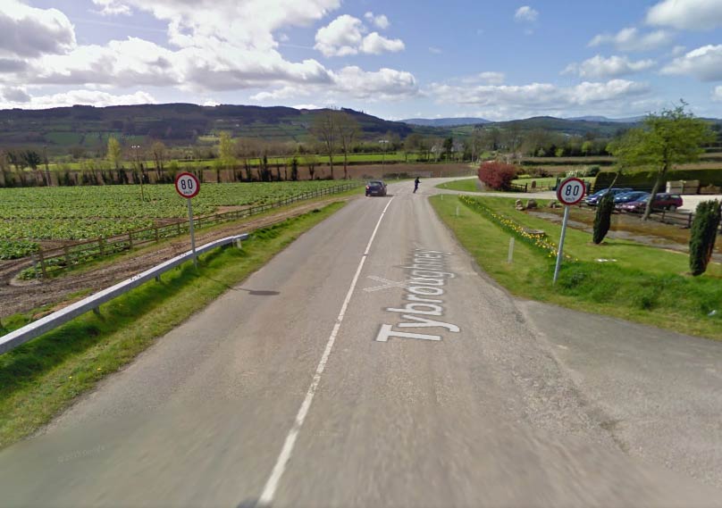 Speed limit signs in South Kilkenny. Image: Google Maps