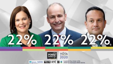 GE2020 Exit Poll. Photo: TG4