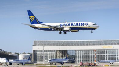Ryanair flight landing (DirkDanielMann/Pixabay)