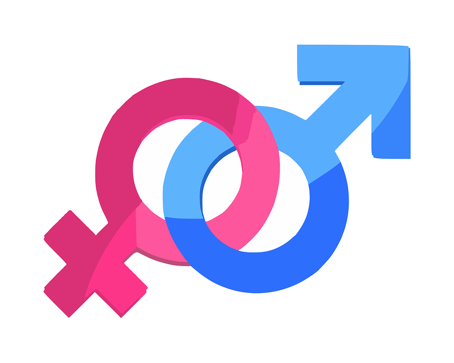 Gender/Sex (clker free vector images/Pixabay)