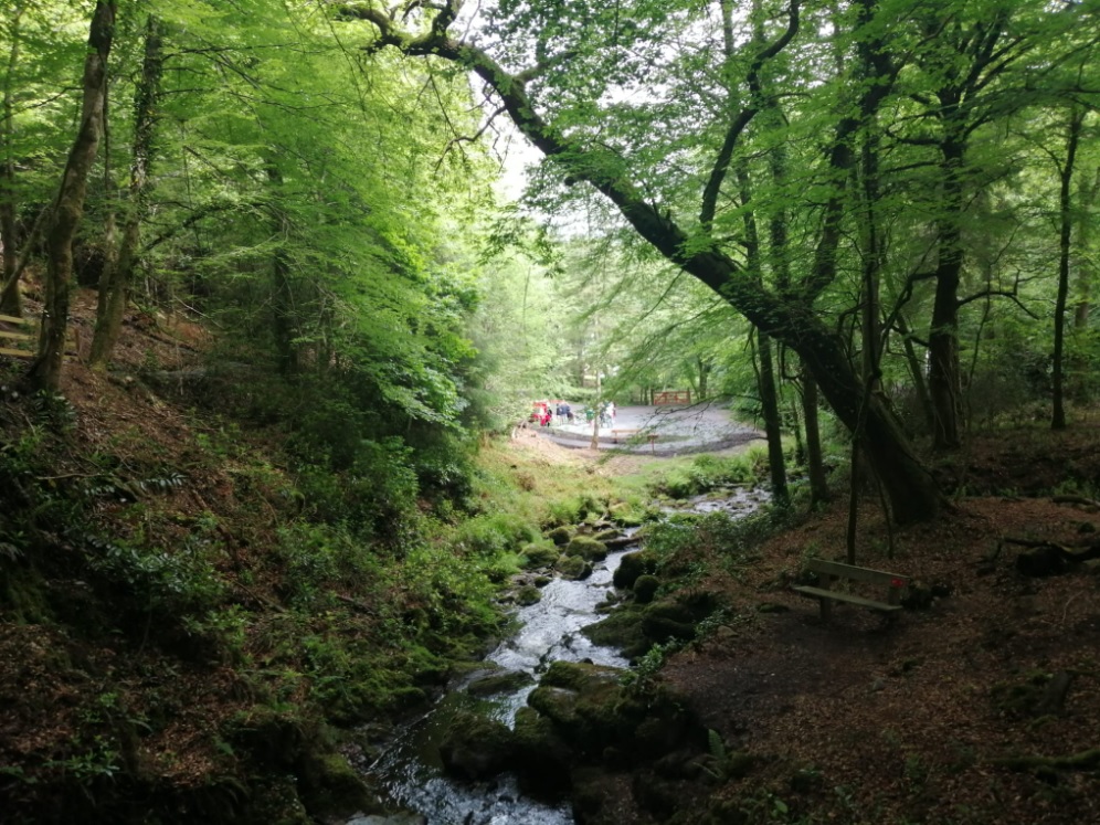 Ribbons cut on three projects across Inistioge and Graignamanagh in ...