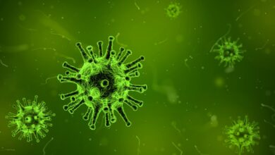 Virus (Image by Arek Socha from Pixabay)