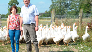 Kilkenny Free Range (Picture from website)