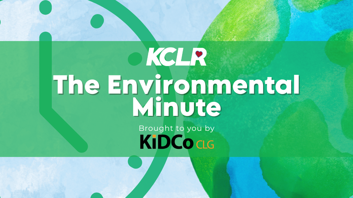 The Environmental Minute: brought to you by KIDCO – Kilkenny Innovation Development Company Limited, working to make Kilkenny better.
