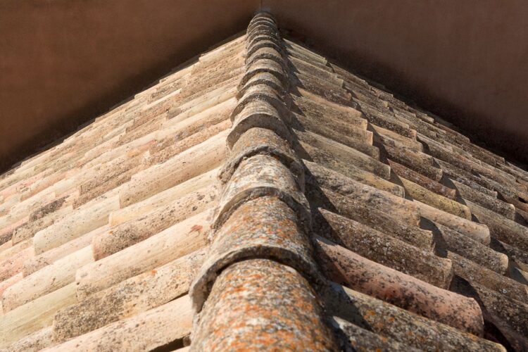 Roof tiles. Photo: Jan Van Der Volf/Pexels