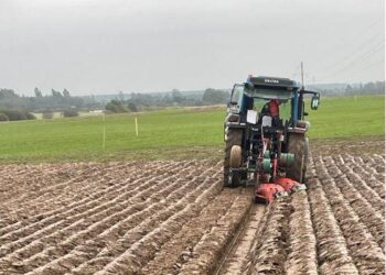 It’s Plough Day at the World Championships for team Ireland which has representation from Carlow and Kilkenny