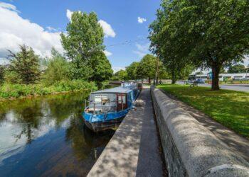 Carlow County Council want to hear from those with ideas for Bagenalstown and Royal Oak