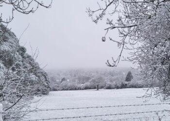 Parts of north Carlow covered in snow this morning