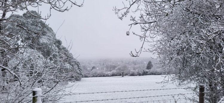 Parts of north Carlow covered in snow this morning