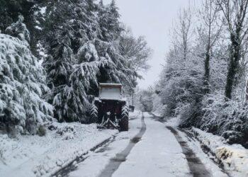 Parts of north Carlow covered in snow this morning