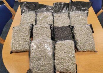 Man arrested following seizure in Co Kildare of suspected cannabis herb believed to be worth over €100,000