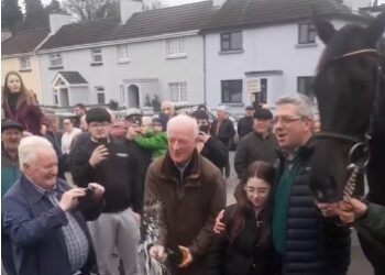 Hundreds turn out for homecoming of hero horse Galopin Des Champs in Co Carlow