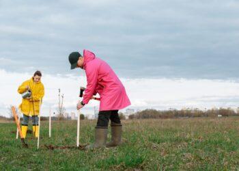 Ireland needs to plant more trees according to European Commissioner Mairead McGuinness