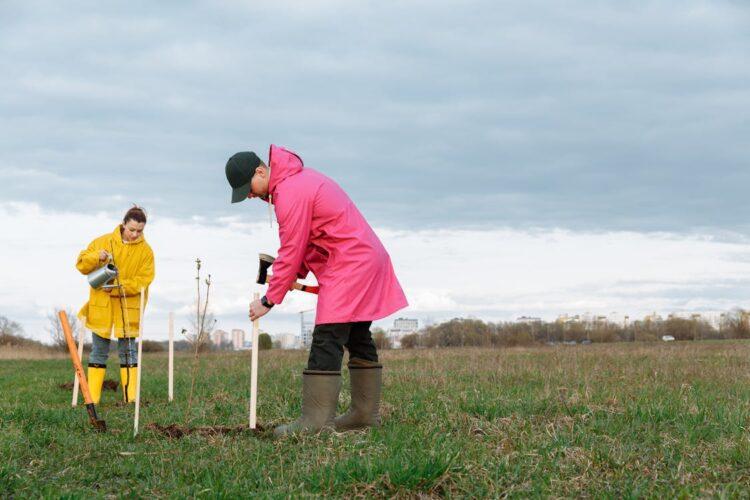 Ireland needs to plant more trees according to European Commissioner Mairead McGuinness