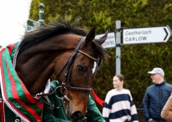 Hundreds again out in Leighlinbridge, Co Carlow this time for Aintree Grand National winner I Am Maximus