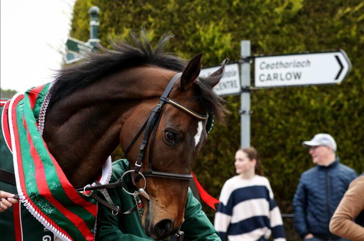 Hundreds again out in Leighlinbridge, Co Carlow this time for Aintree Grand National winner I Am Maximus