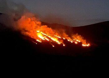 Mount Leinster burning again overnight with Carlow fire personnel back out battling blazes