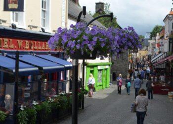 Calls for no local election posters after councillors vote not to place any in Kilkenny City