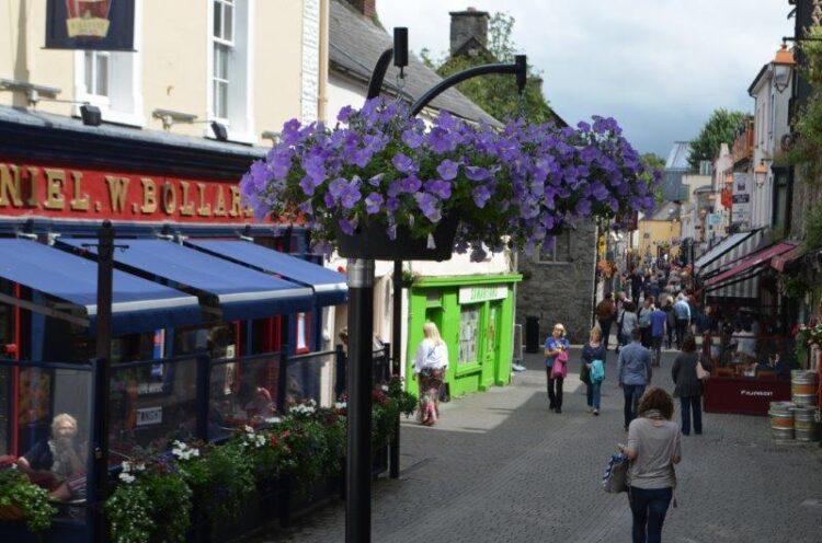 Calls for no local election posters after councillors vote not to place any in Kilkenny City
