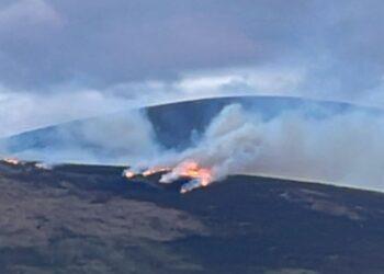 Latest blaze on Mount Leinster could be seen in Co Tipperary according to County Carlow Fire Chief