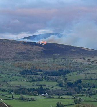 County Carlow Fire Brigade battles third series of blazes in 24 hours ...