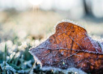 Rain returning with frost forecast as well for Carlow and Kilkenny