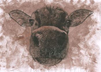 Kilkenny pupil wins prize at Texaco Children’s Art Competition