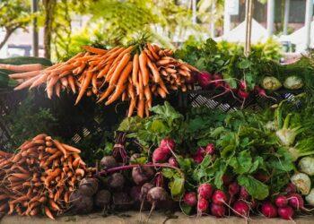 Food prices look set to rise in Carlow, Kilkenny and across the country