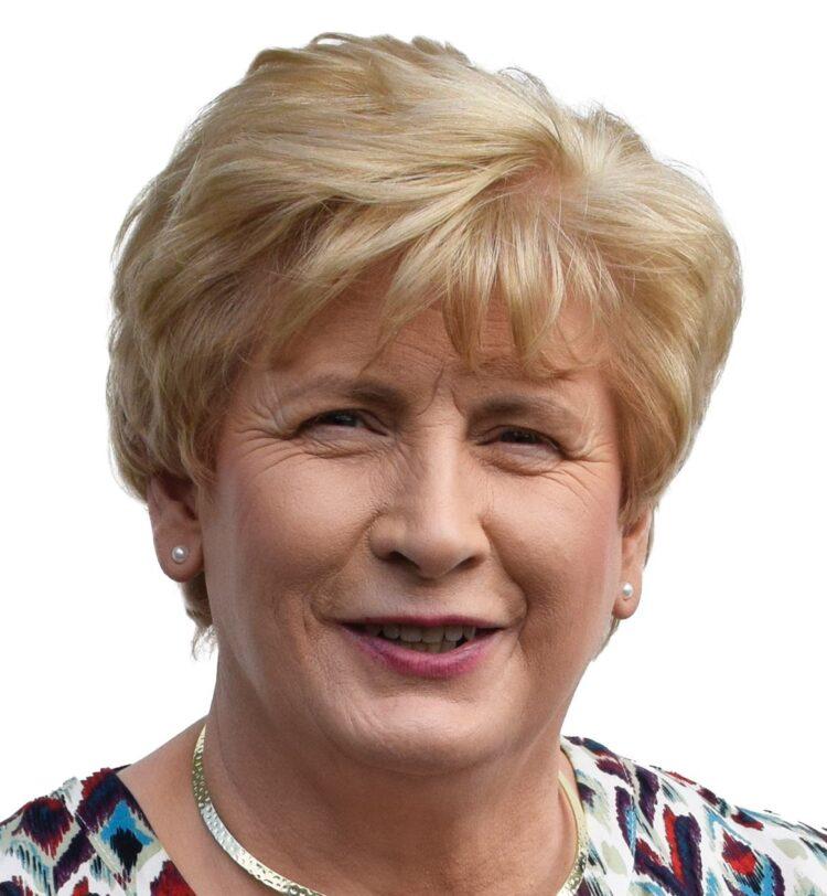 HOLDING PAGE FOR LOCAL AND EUROPEAN ELECTIONS