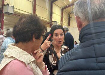 Just two votes separate three candidates for the last two seats in the Tullow Local Electoral Area