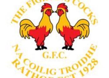 Carlow GAA club will hold fundraiser for one of its fallen team-mates