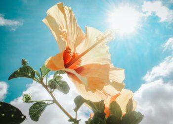 Temperatures to rise over weekend