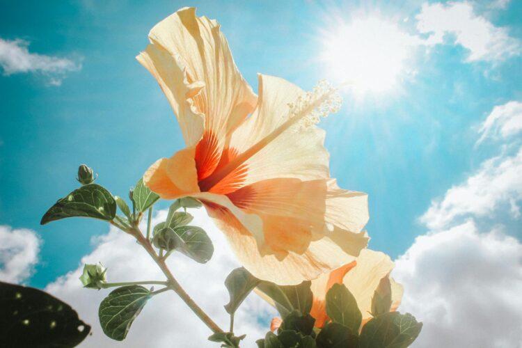 Temperatures to rise over weekend