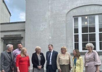 CEO of Kilkenny headquartered Design and Crafts Council Ireland resigns from role