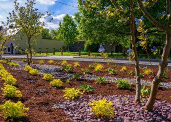 Carlow first County to green its concrete spaces