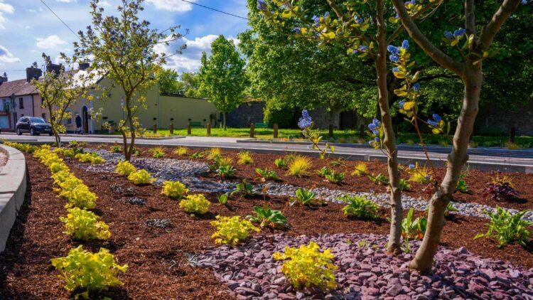 Carlow first County to green its concrete spaces