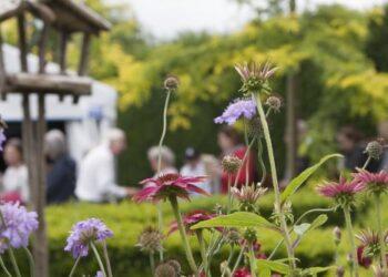 Seeds of excitement sown for annual Carlow Garden Festival