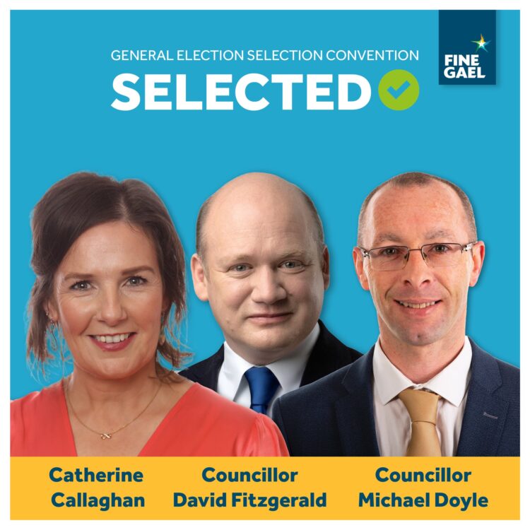 Fine Gael to put forward at least three Carlow Kilkenny candidates for the General Election