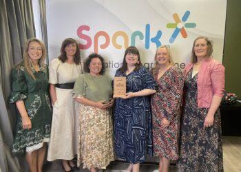 Maternity Department at General Hospital for Carlow and Kilkenny wins Bright Spark National Innovation Award