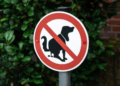 There were no fines issued for dog fouling in Carlow or Kilkenny last year