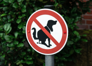 There were no fines issued for dog fouling in Carlow or Kilkenny last year