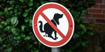 There were no fines issued for dog fouling in Carlow or Kilkenny last year