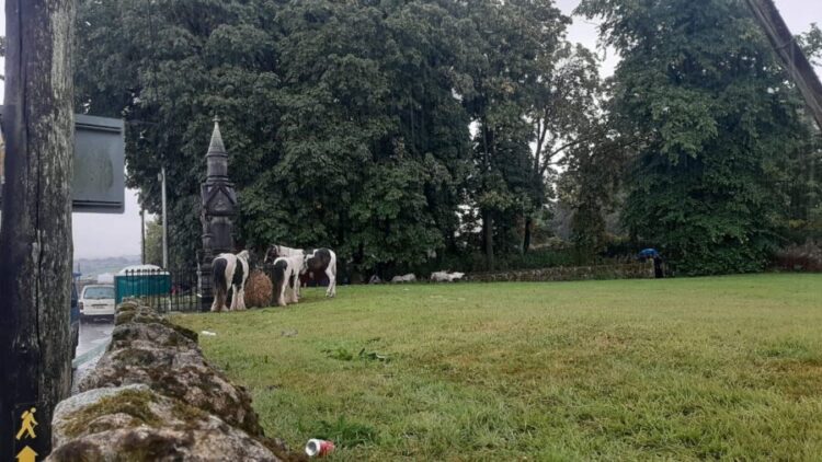 Businesses in Borris, county Carlow could benefit from the annual Fair insists local woman