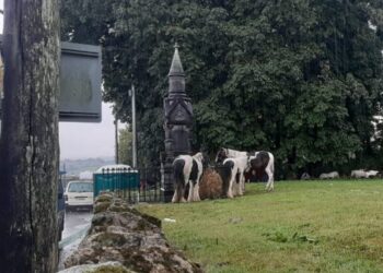 Businesses in Borris, county Carlow could benefit from the annual Fair insists local woman