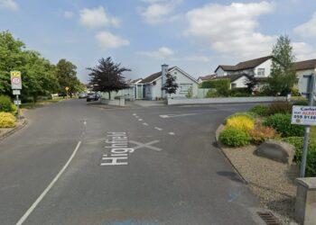 Councillors unanimously agree to withdrawal of proposed walkways in Carlow town