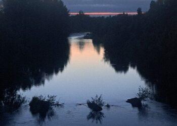 Calls are being made for a former suspension bridge over the River Nore close to Kilkenny city centre to be restored