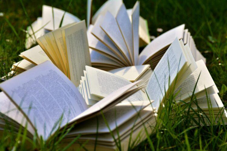 100,000 books for sale at this years book festival in Graiguenamanagh